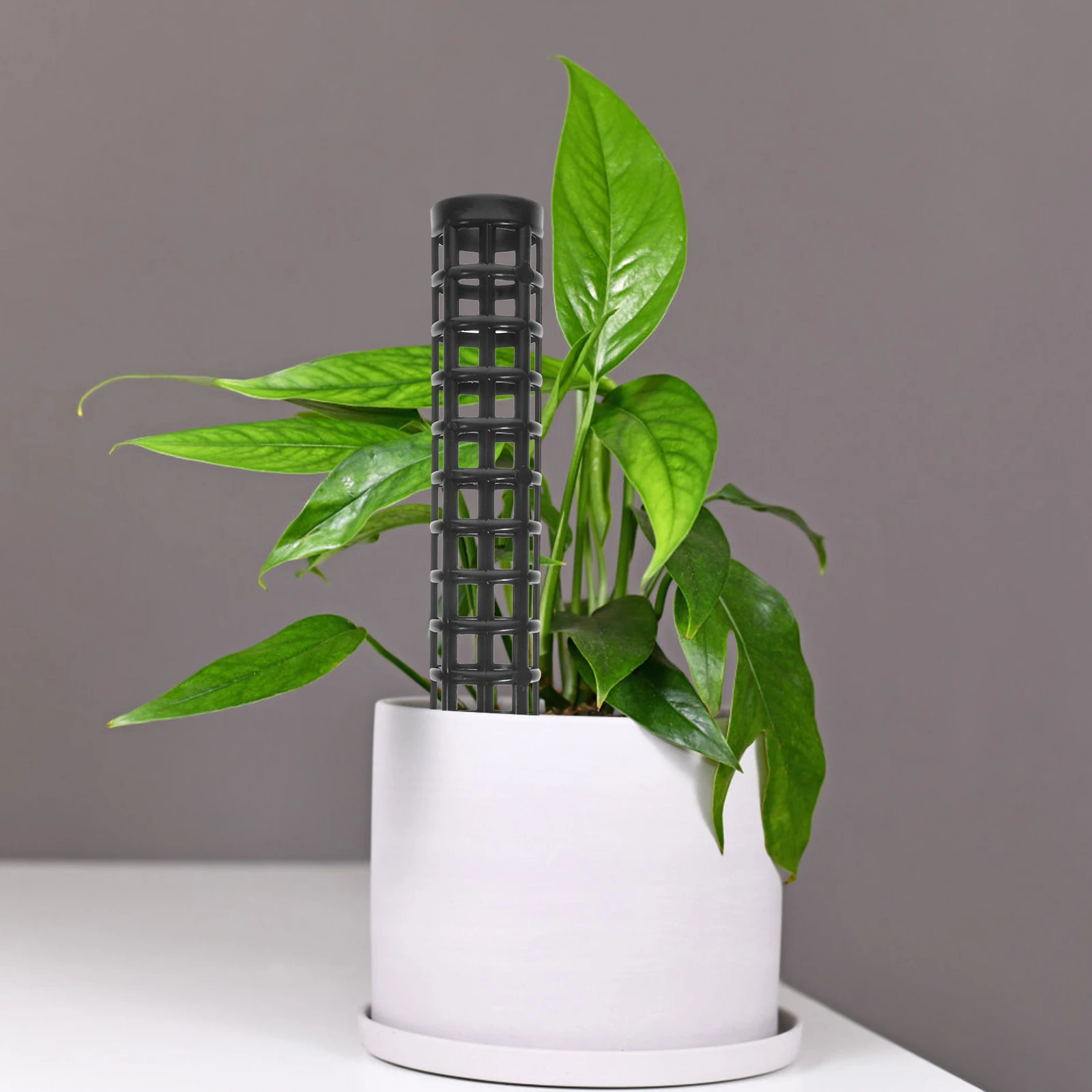 

2Pcs Plant Climbing Column Flower Pot Trellis Monstera Moss Pole Plastic Vine Support Potted Plants Gardening