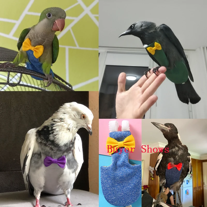 Traje de Vuelo para Aves, Pañal para Loros, Ropa para Periquitos, Cotorras, Guacamayos, Aves Pequeñas, Medianas y Grandes