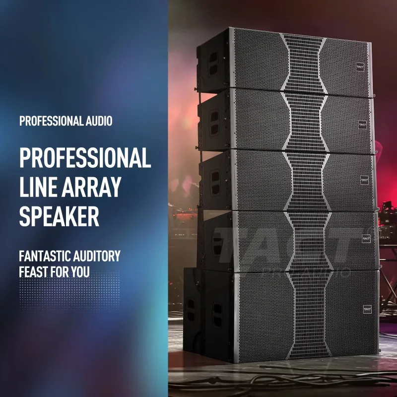 Pro Audio Dual 12 pollici Professional Audio Line Array Pa System Apparecchiatura audio per esterni