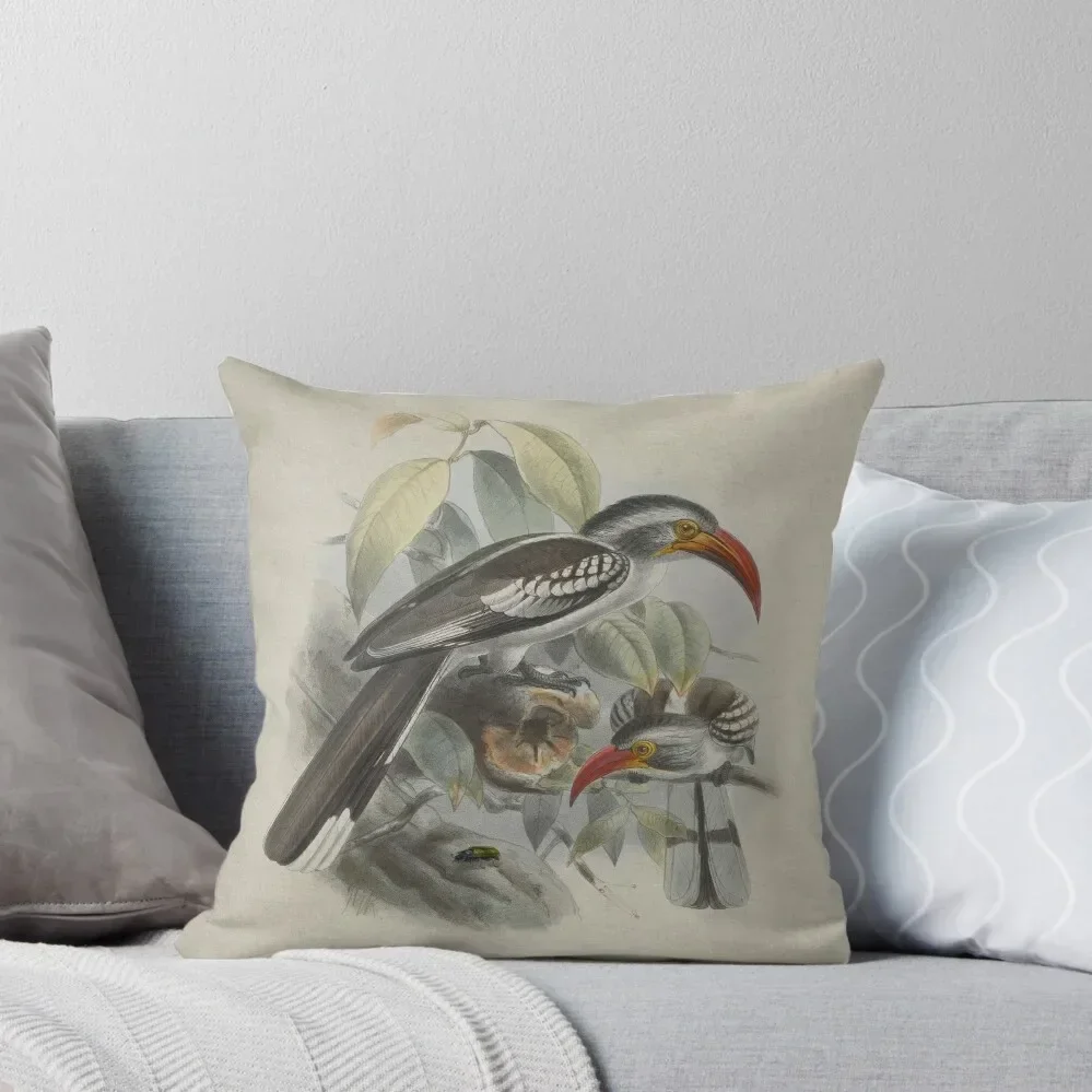 2 Hornbills and a Beetle Throw Pillow ornamental pillows Pillow Case pillow