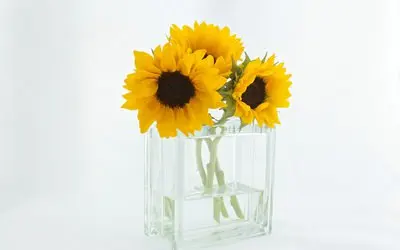 

For Kugoo M5/M5Pro/MaxSpeed Original Lithium Battery 13S8P 48V 28000mAh Folding Electric Scooter Battery Pack