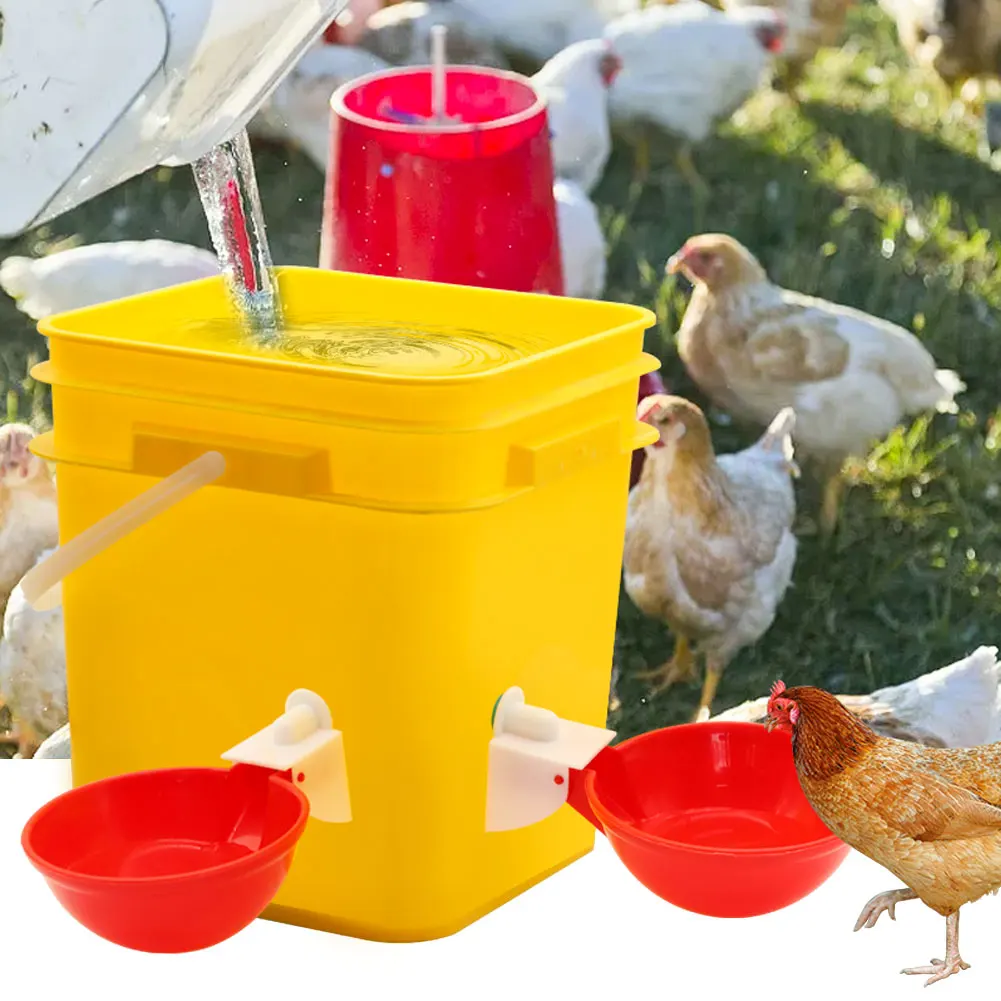5/10/20 PCS Automatic Chicken Drinking Bowl Drinking Water Quail Poultry Water Dispenser Duck Pigeon Free Range Chicken Larger