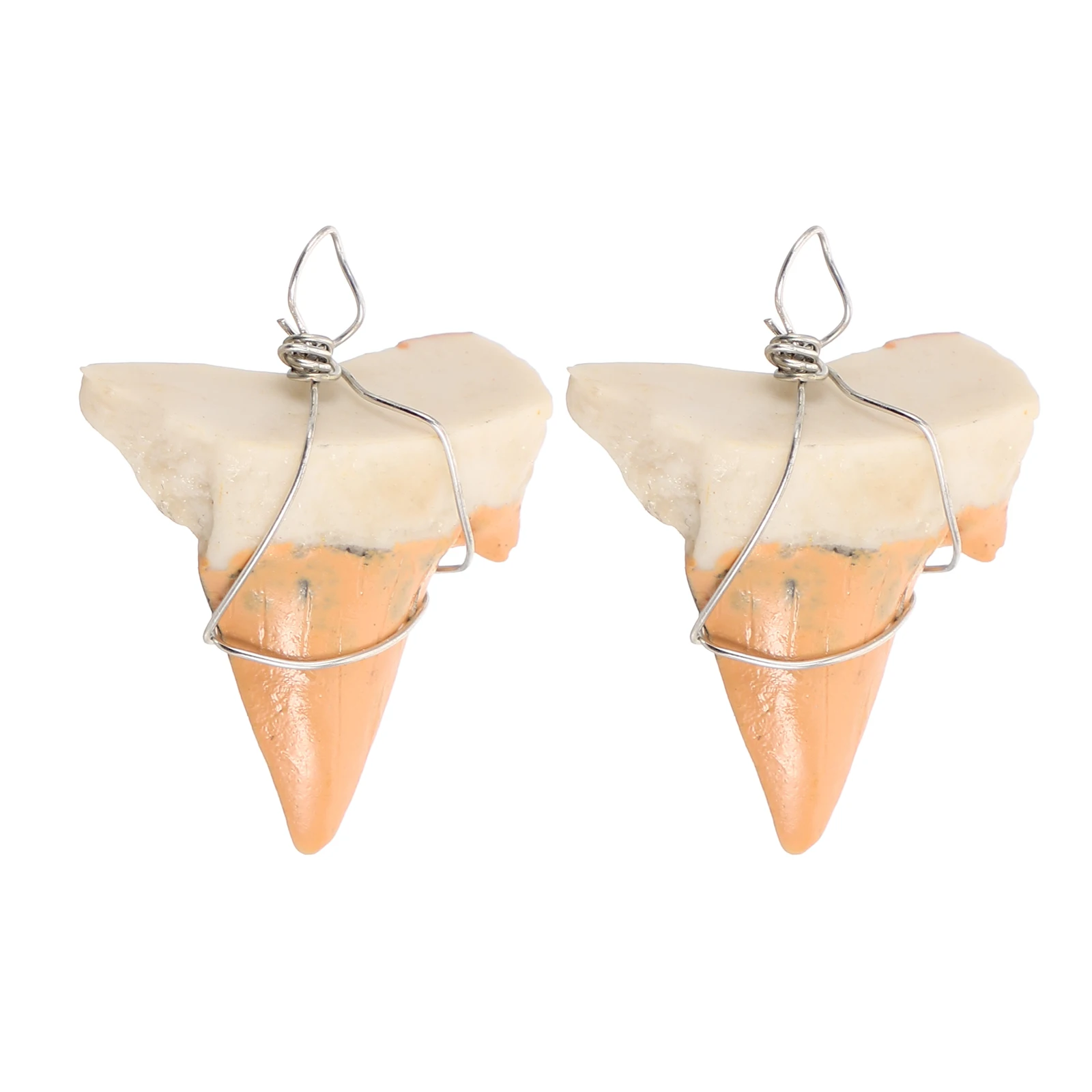 2 Pcs Shark Tooth Pendant Necklace Charms Cool Necklaces Bulk Teeth Men Ornament Beach Jewelry Teen Girls Shark Collection Charm