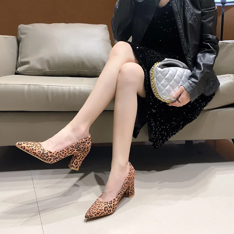 Woman Fashion Designer Leopard Pointed Toe Pumps Women Cloth/Leather Chunky High Heels Sexy Slip On Female Shoes Big Size 42