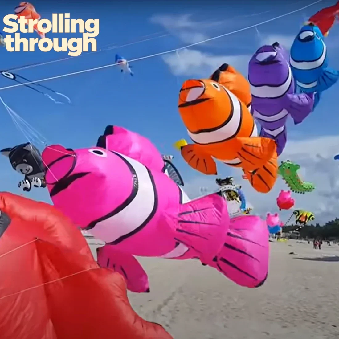 

3D 2.45M Seven-color Nimo Clownfish Hanging Kite Outdoor Power Kites Umbrella Cloth Waterproof and Tear Resistant Storage bag