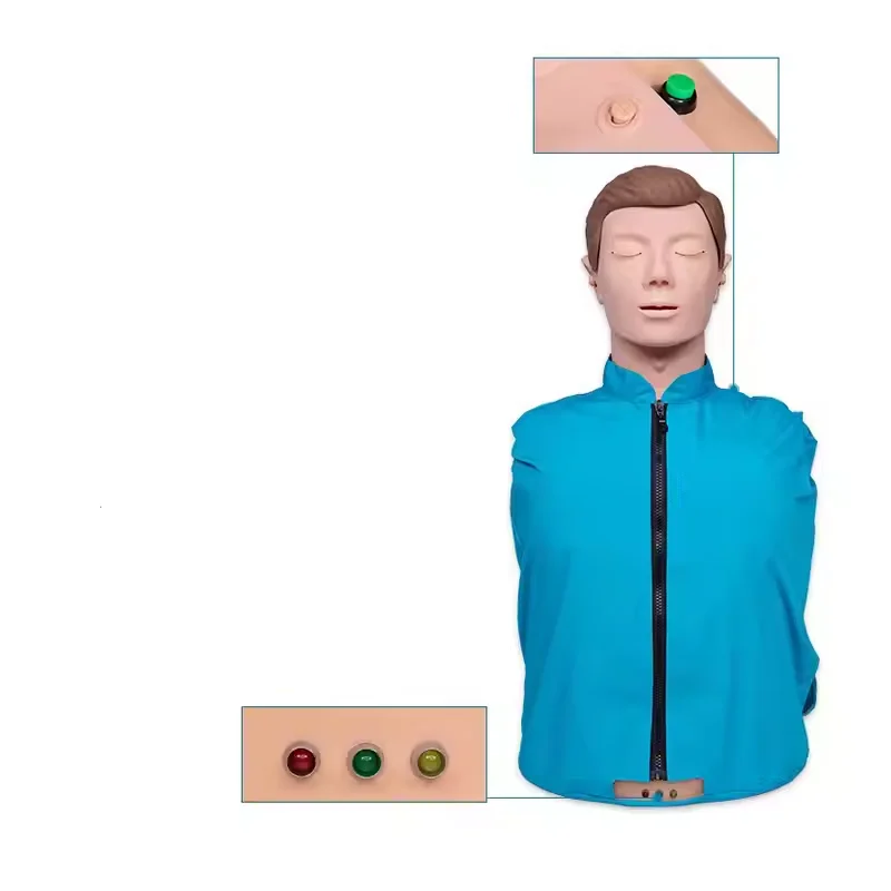 Cardiopulmonary Resuscitation Simulates Human Half Heart Training Resuscitation Artificial Respiration Dummy Teaching