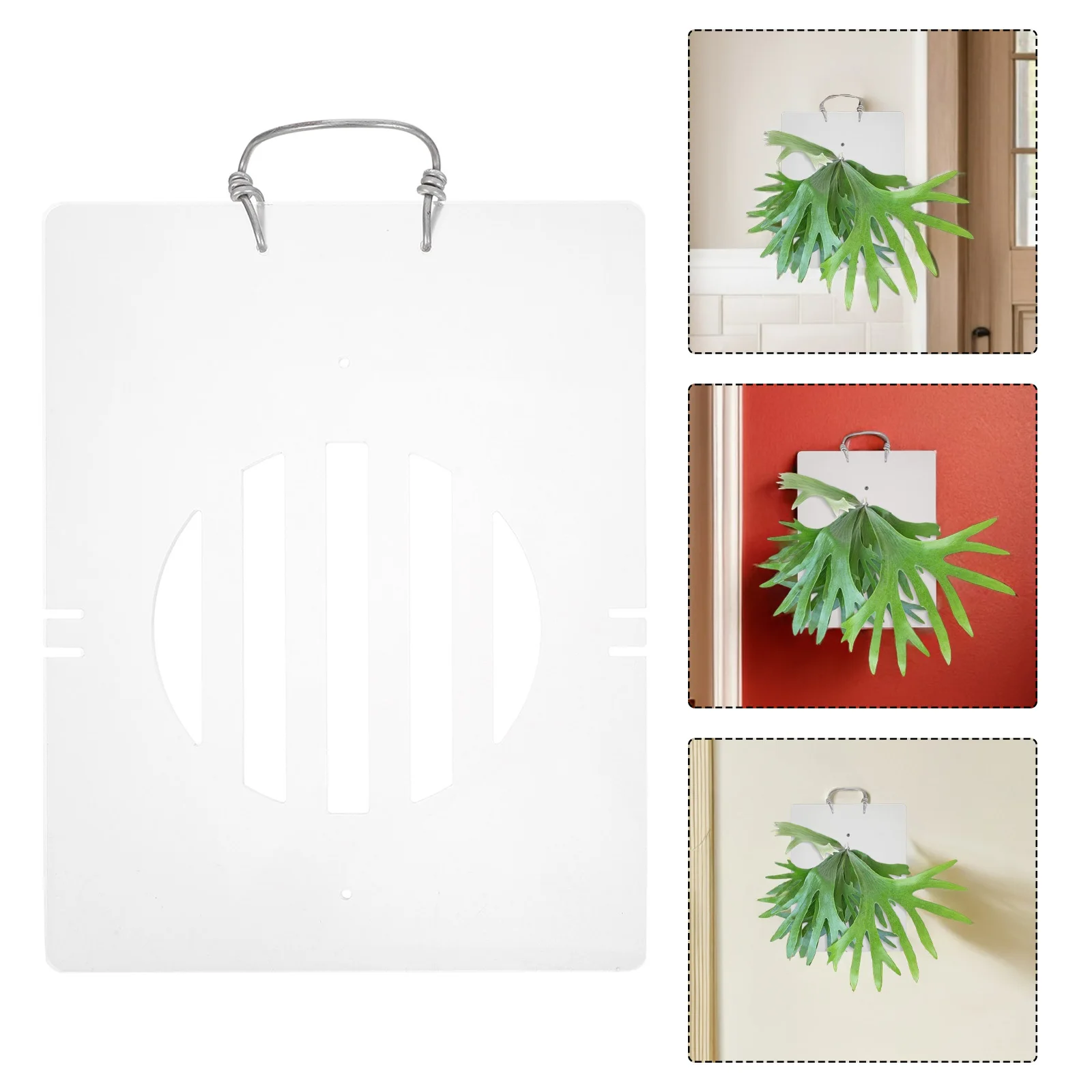 Fern Mounting Board Acrylic Plant Board for Wall Display Decorative Vertical Garden Wall Planter Air Plants Orchids