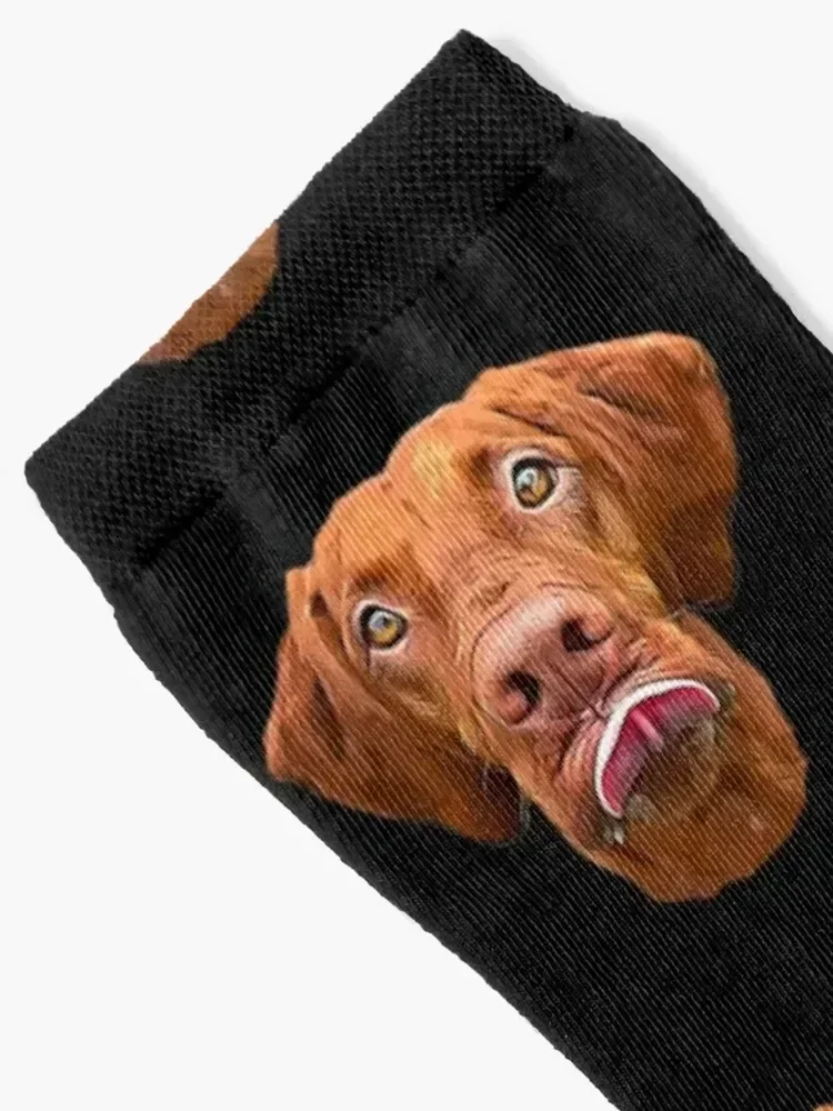Hungarian Vizsla - Cute Face! Socks shoes professional running retro Sports Socks Man Women's