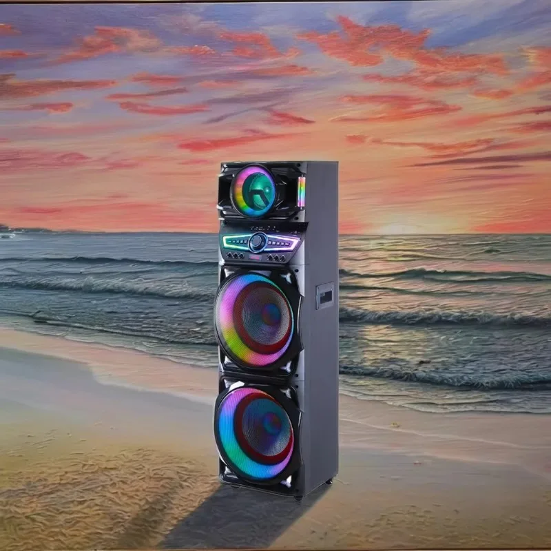 Professional Dual 15 Inch 100 Watt Large Stage High Power Big Speaker with Microphone