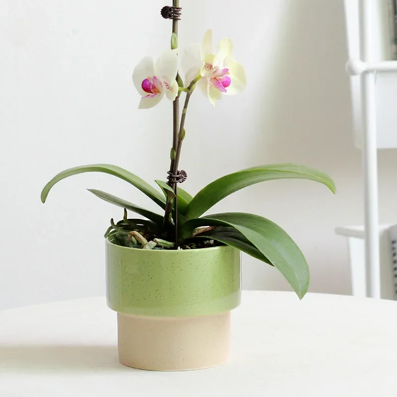 Nordic Minimalist Ceramic Flowerpot Balcony Indoor Succulent Potted Orchid Butterfly Planter