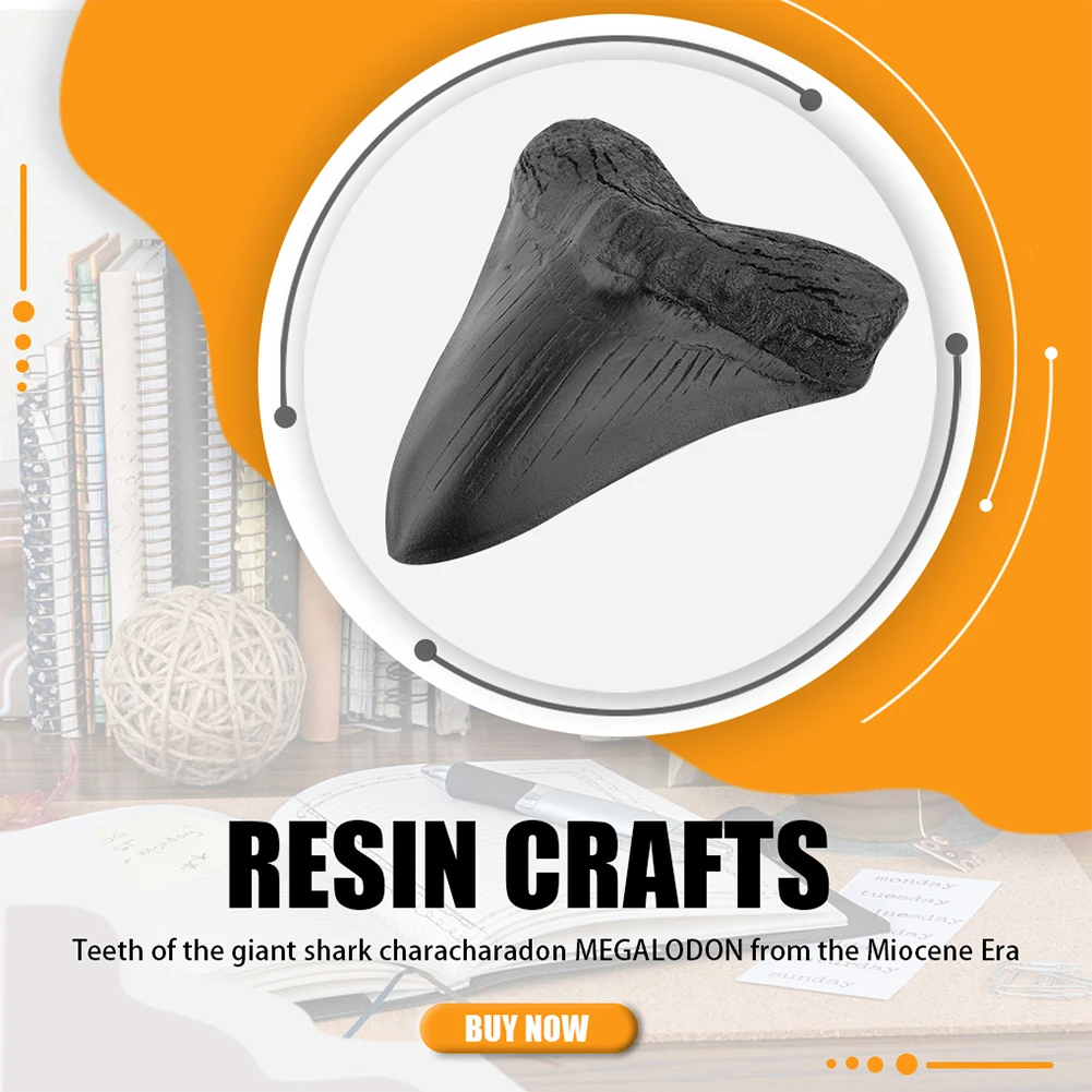 Marine Bology Teaching Props Best Gifts Easy Clean Resin Shark 5inch Shark Teeth Model Teeth Home Decoration Shark Tooth Replica