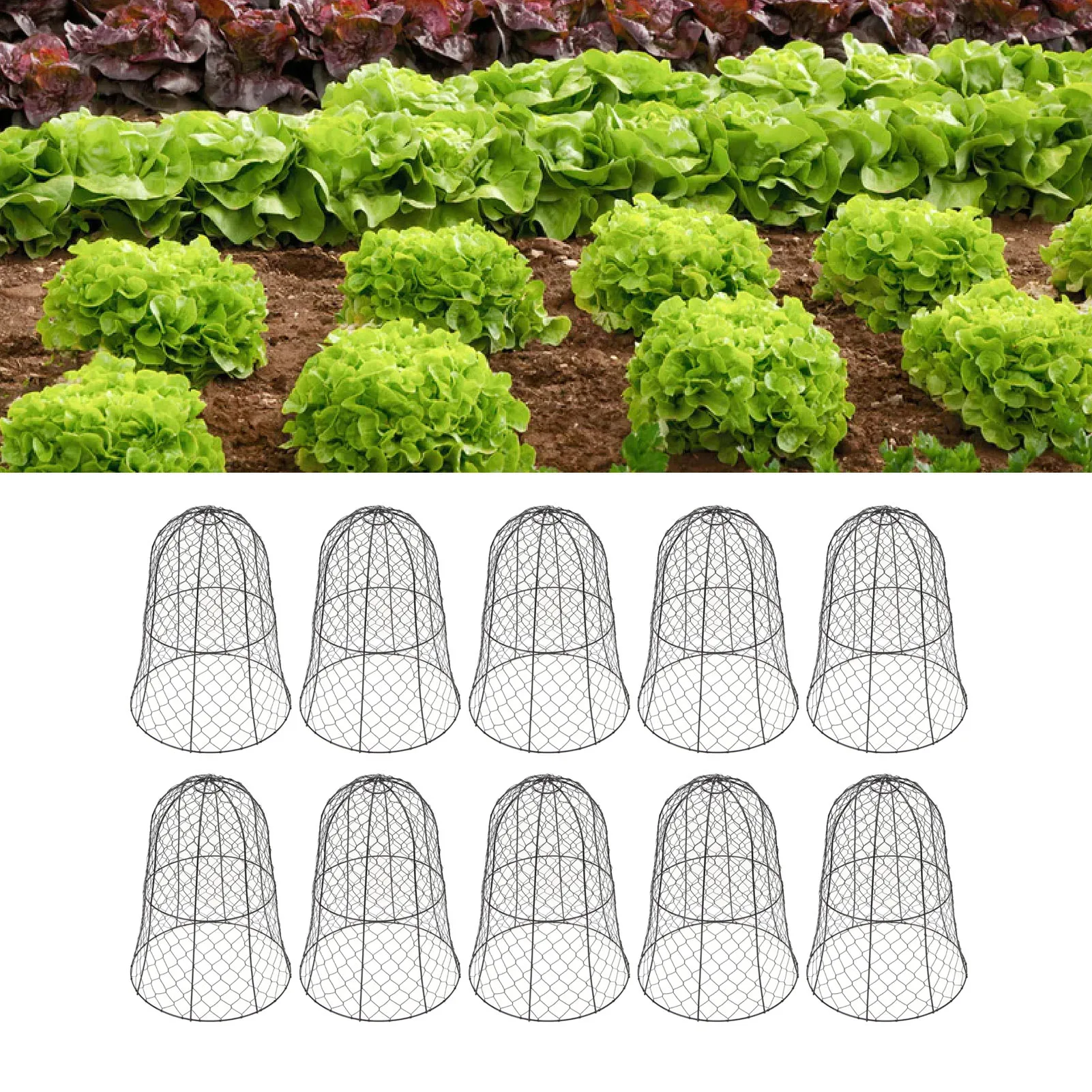 

10 Packs Black Garden Chicken Wire Cloche Thickened Construction Plant Protector Cloche Cover Plant Protector Cloche