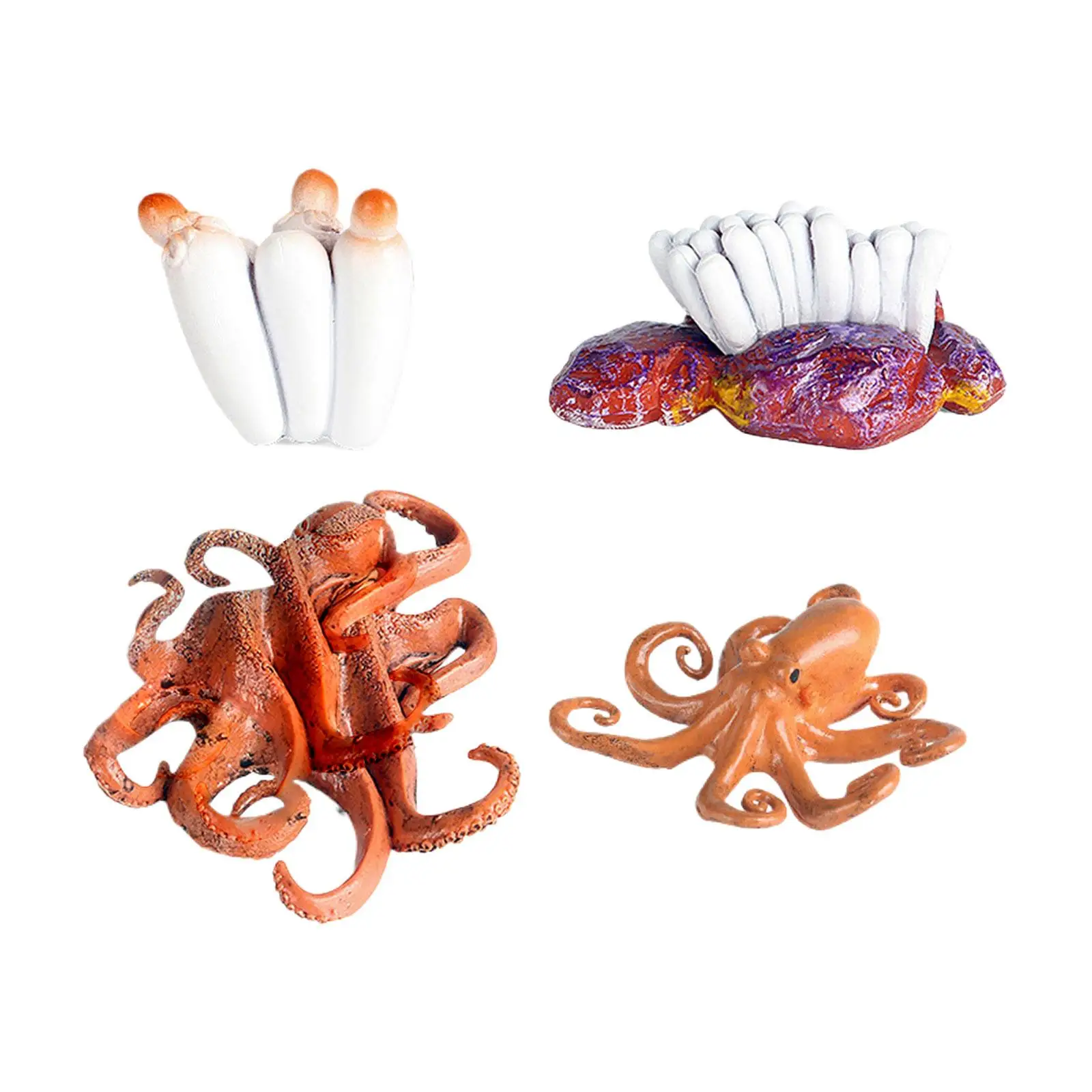 Octopus Growth Cycle Set Realistic Cognitive Learning Biology Montessori Toys for Kids Ages 3+ Children Toddlers Birthday Gifts