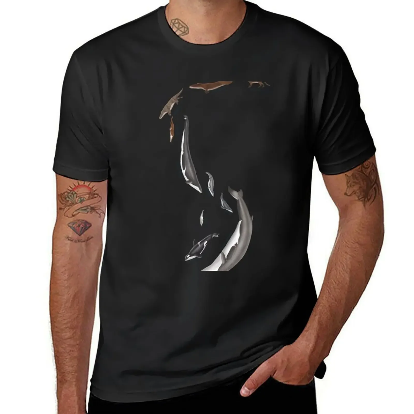 

Whale evolution - prehistoric and modern whales T-Shirt blanks oversized t shirt new edition mens big and tall t shirts