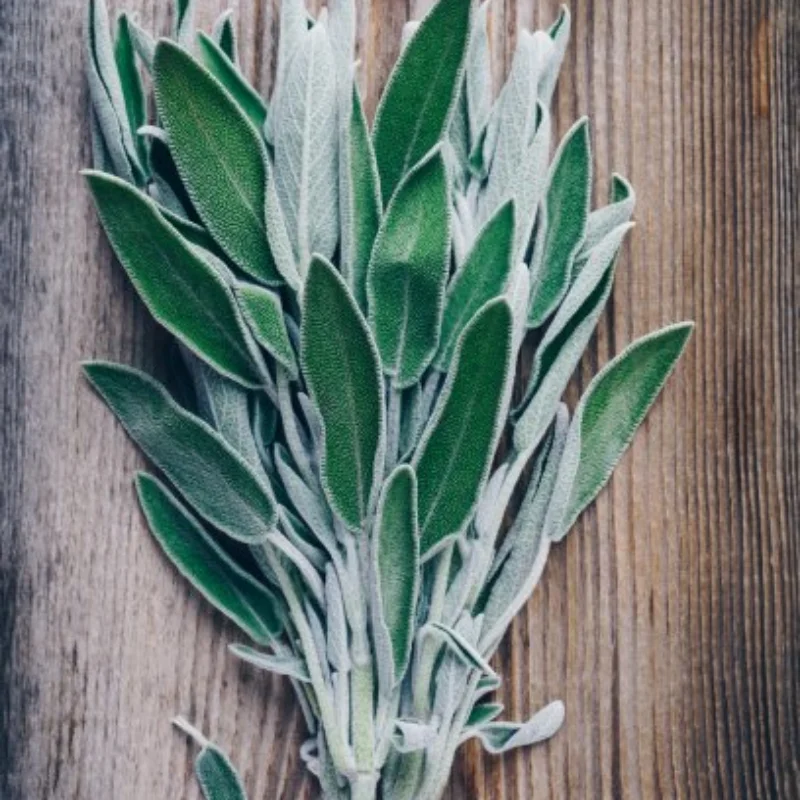 

4pcs 73mm Short Course Truck Sand Tire for ARRMA 1/18 GRANITE GROM RC Car Upgrade Parts Accessories