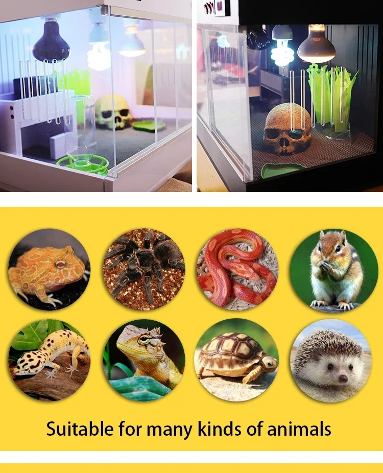 Snake Lizard Spider Terrarium Lizard Spider Gecko Tortoise Hamster Reptiles Please consult customer service for price and size. view 5