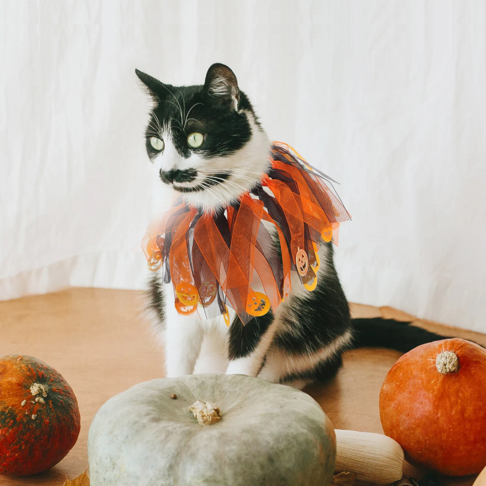 

Pet Collar Cat Decorations Halloween Cute Collars for Cats Christmas Accessories
