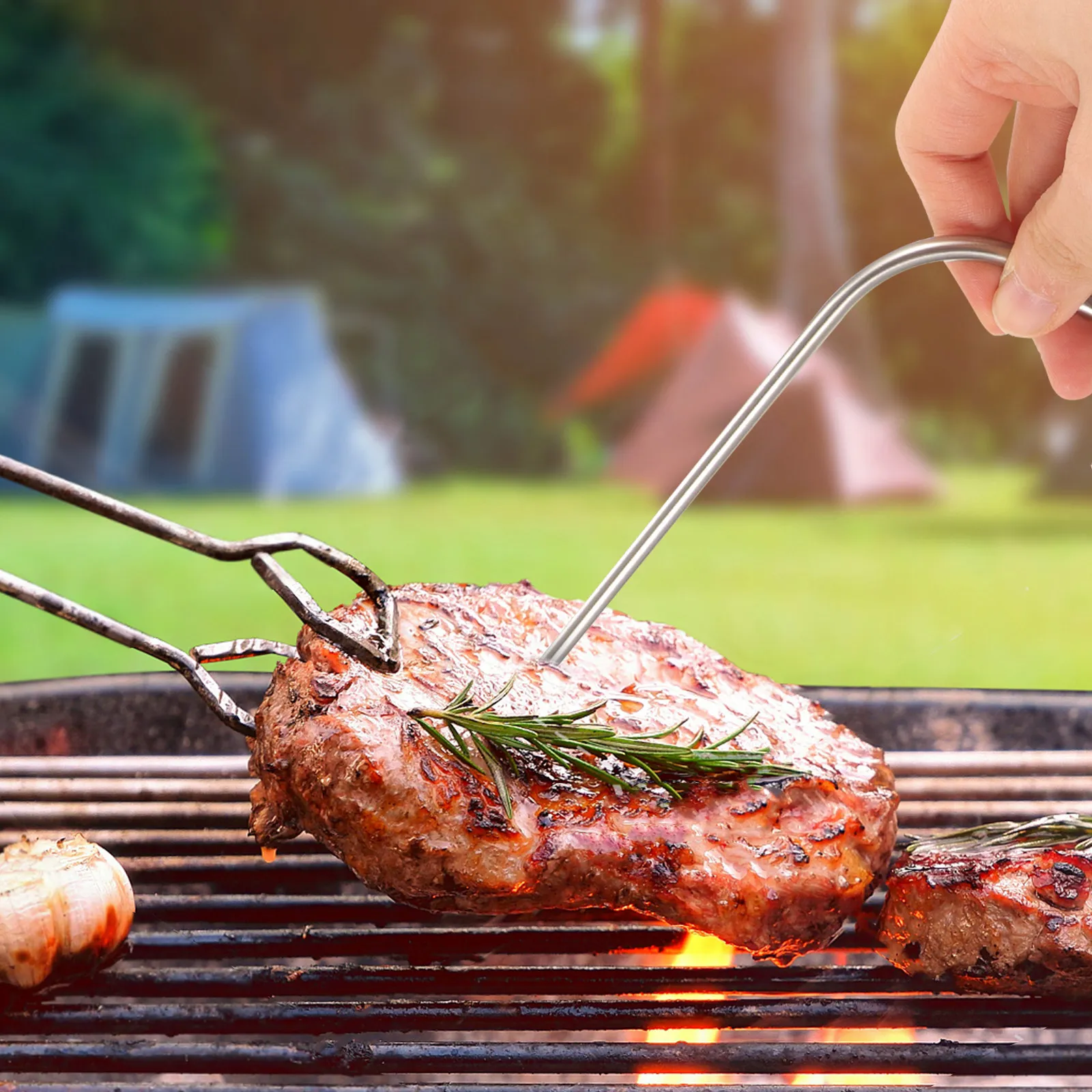 1Set Kitchen Food Thermometer Probe Meat Temperature Probe Bbq Grill Thermometer for Oven Air Fryer Cooking Camping Picnic