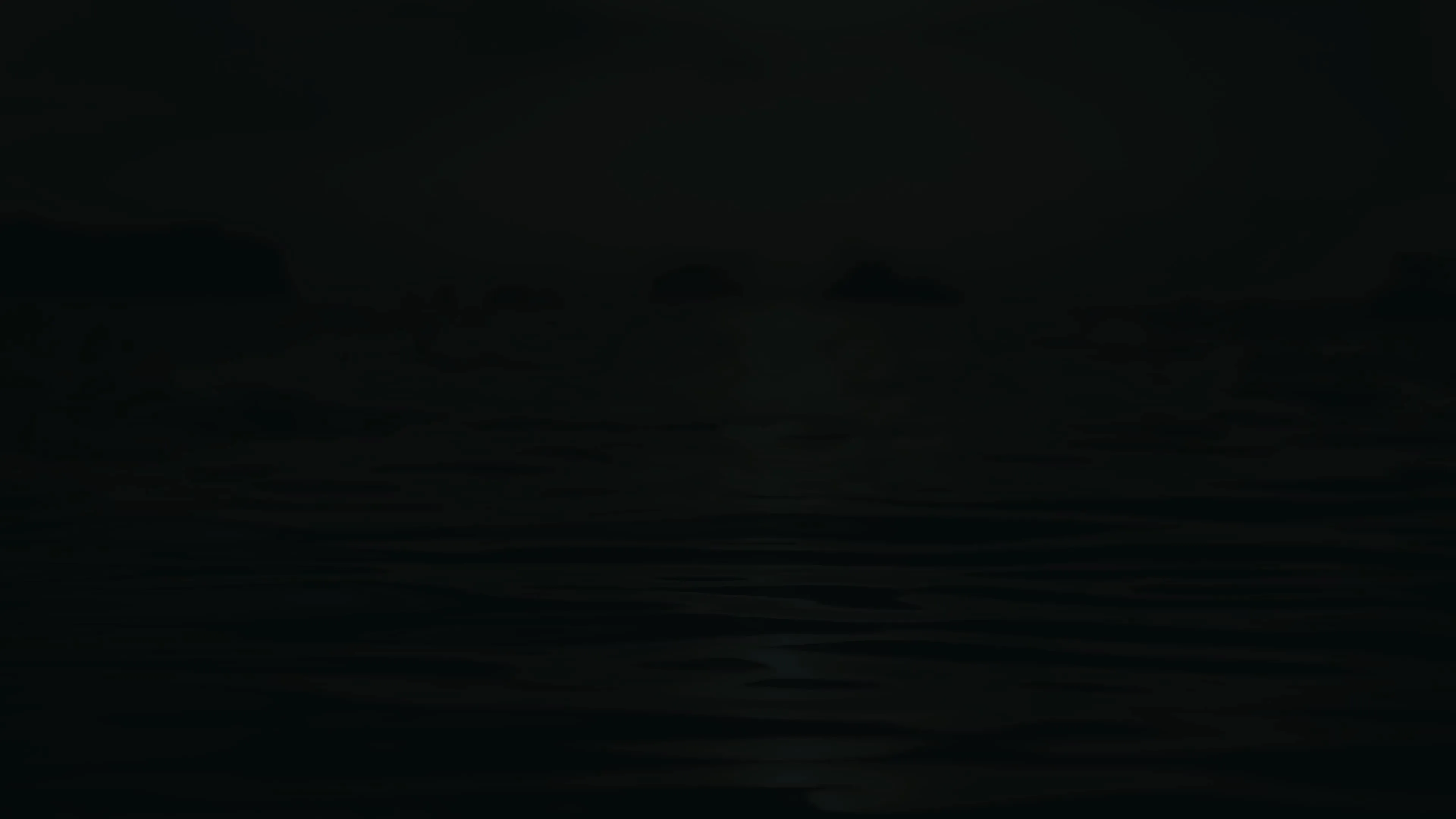 Катушка для ловли ящерицы BOKI PRO