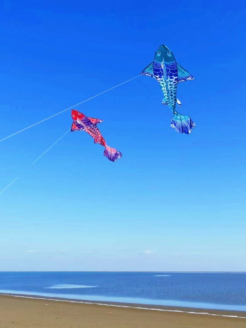 Nieuwe visvliegers gigantische vliegers voor volwassenen professionele windvliegers karpervliegers traditionele Chinese vliegers fabriek buitenplezier papalote