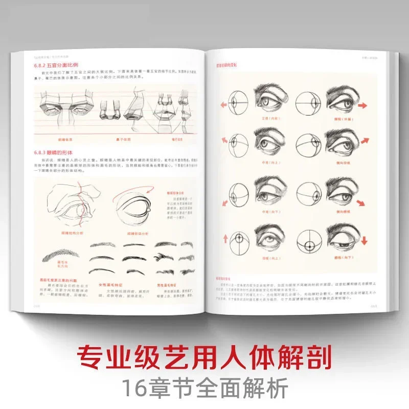 Artistic Study Human Body Sketch Tutorial Book with 2000 Anatomy Reference Books The Art of Human Body Structure Analysis