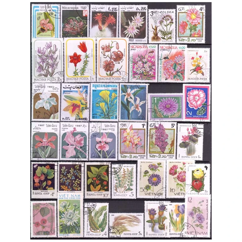 50 PCS All Different Topic Flower Postage Stamps With Post Mark In Good Condition For Collection World Wide