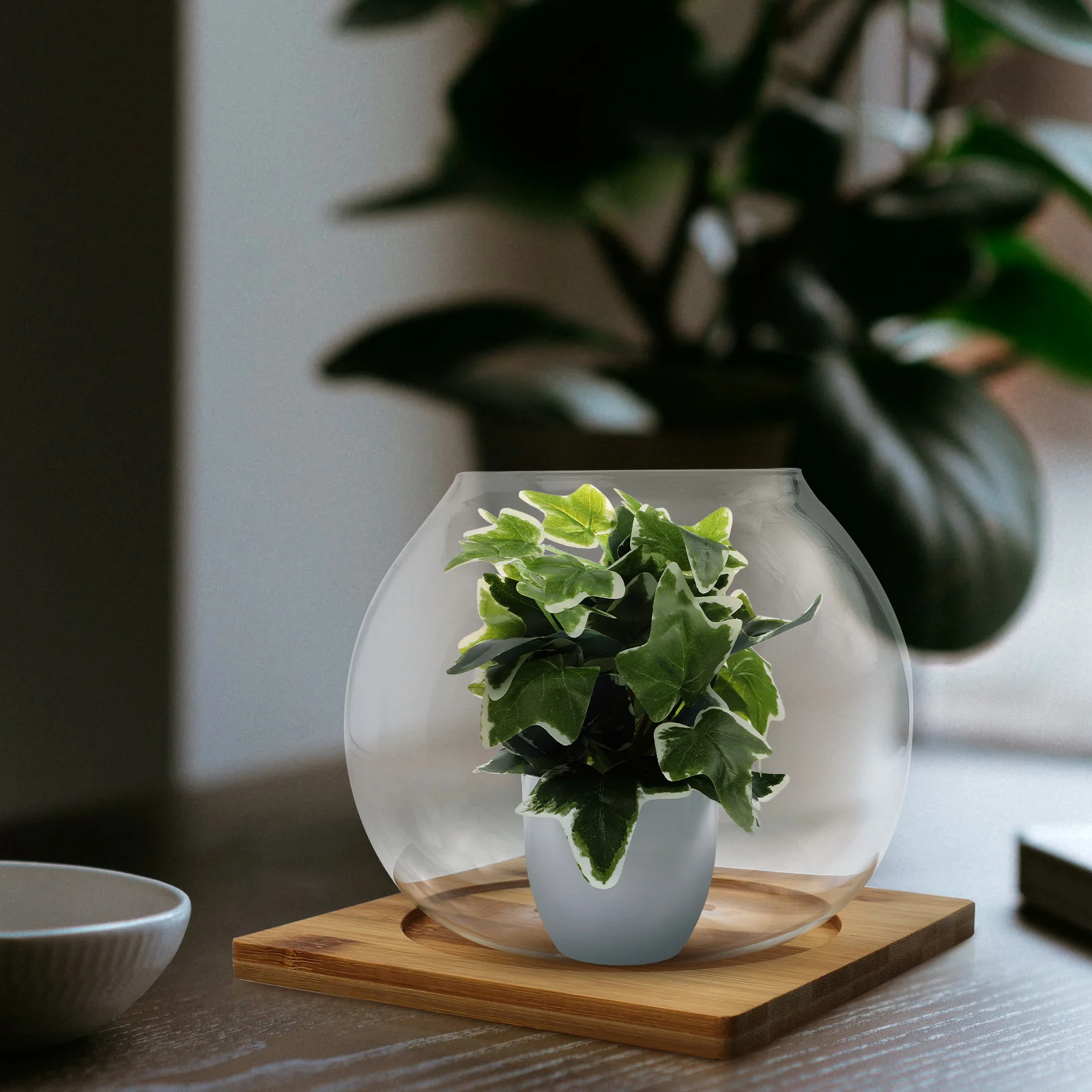 

1Set Eco Bottle Micro Landscape Transparent Glass Pot Smooth Surface Storage Bottle Small Ornaments Display Vase