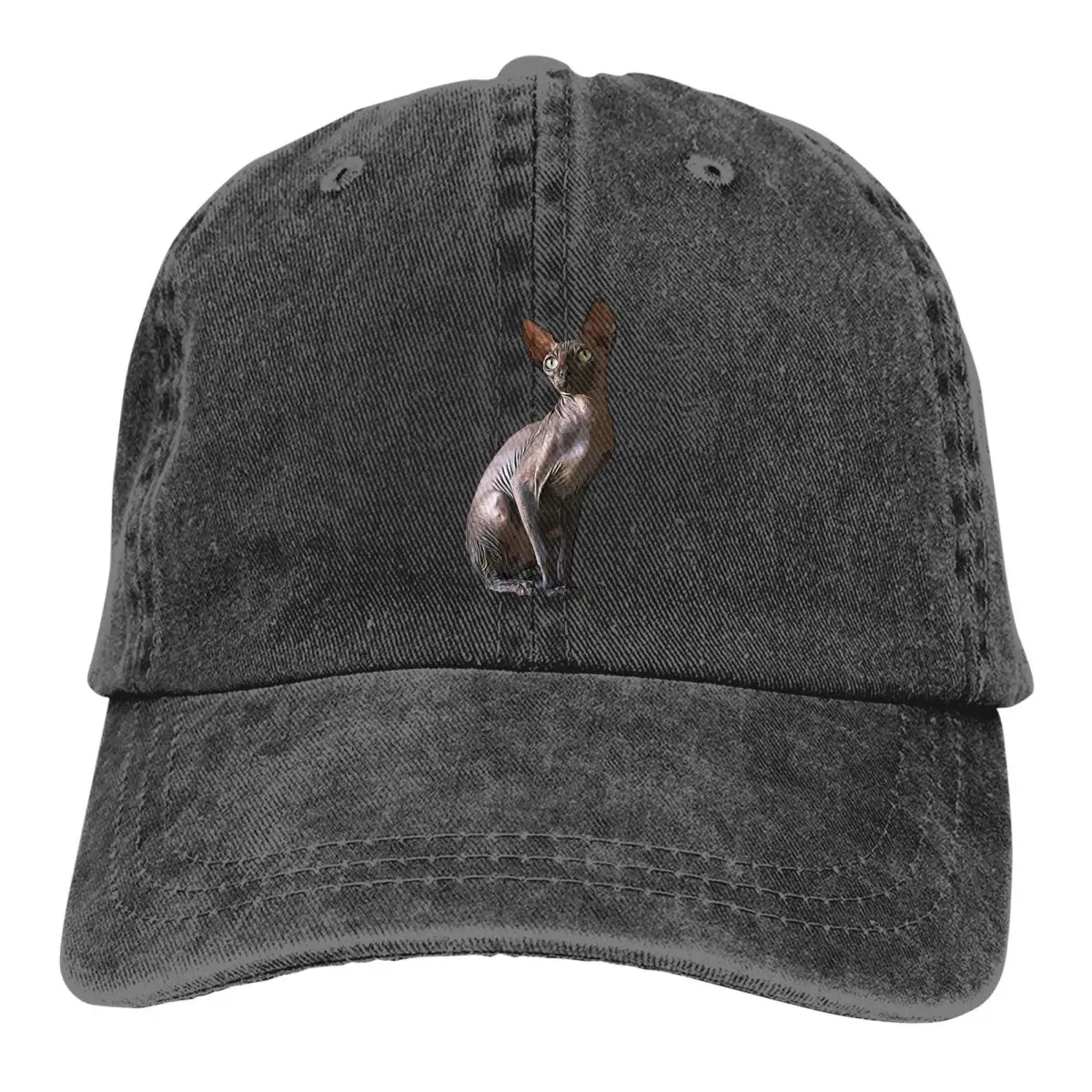 Canadian Sphynx Cat Multicolor Hat Peaked Women's Cap Black Without Fur Personalized Visor Protection Hats