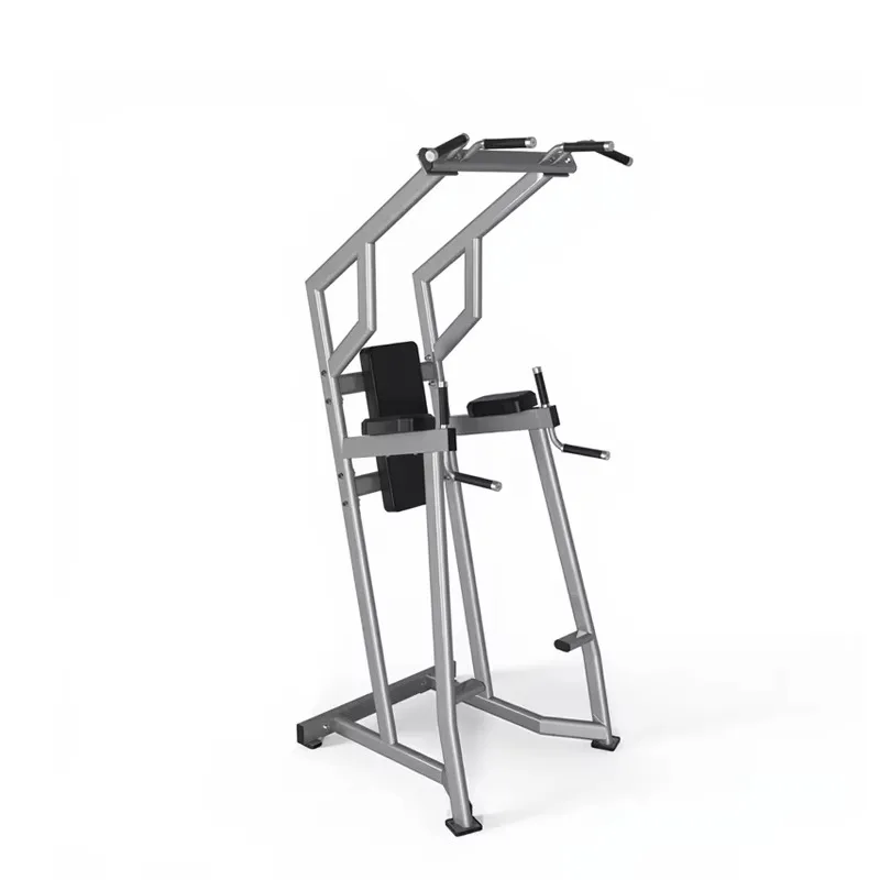 

YTYIN Luxury Mutli Function Exercise Equipment Gym Professional Pull Up China Up Leg Raise Rack Commercial Gym Equipment Full Se