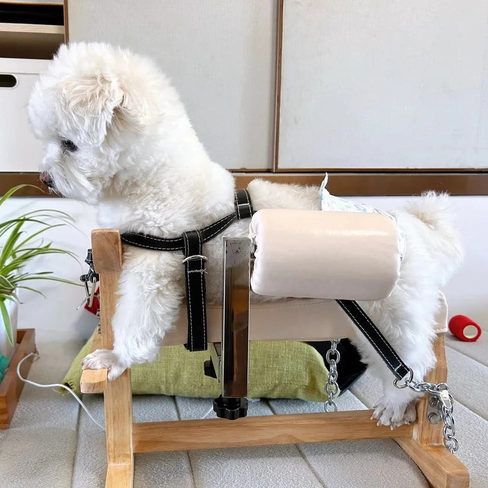Acupuncture Rack Pet Dogs Cats Dogs Acupuncture Bed Anial Frae Binding Breeding Frae Parazed Rehilitation