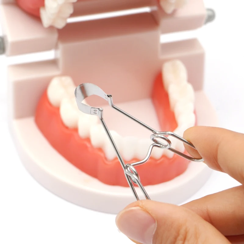 36Pcs/Box Dental Sectional Matrix System Band Resin Clamping/Seperating Ring Shaped Sheet 1.330 with Springclip Care Tools