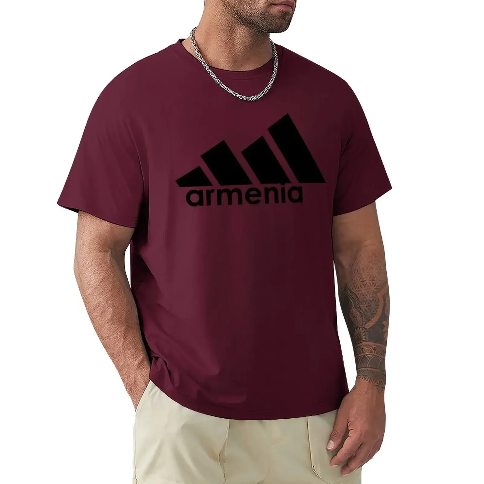 Aesthetic clothes Men's clothing oversized Armenia Funny Sporty Parody Ararat Armenian Athletic Leisure Wear Gift T-Shirt tees