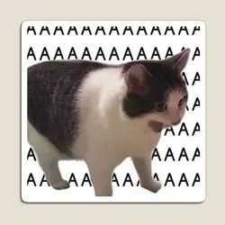 Cat Has Breakdown Magnet Refrigerator Colorful Home Children Toy Kids Holder Decor Baby Funny for Fridge Organizer Stickers