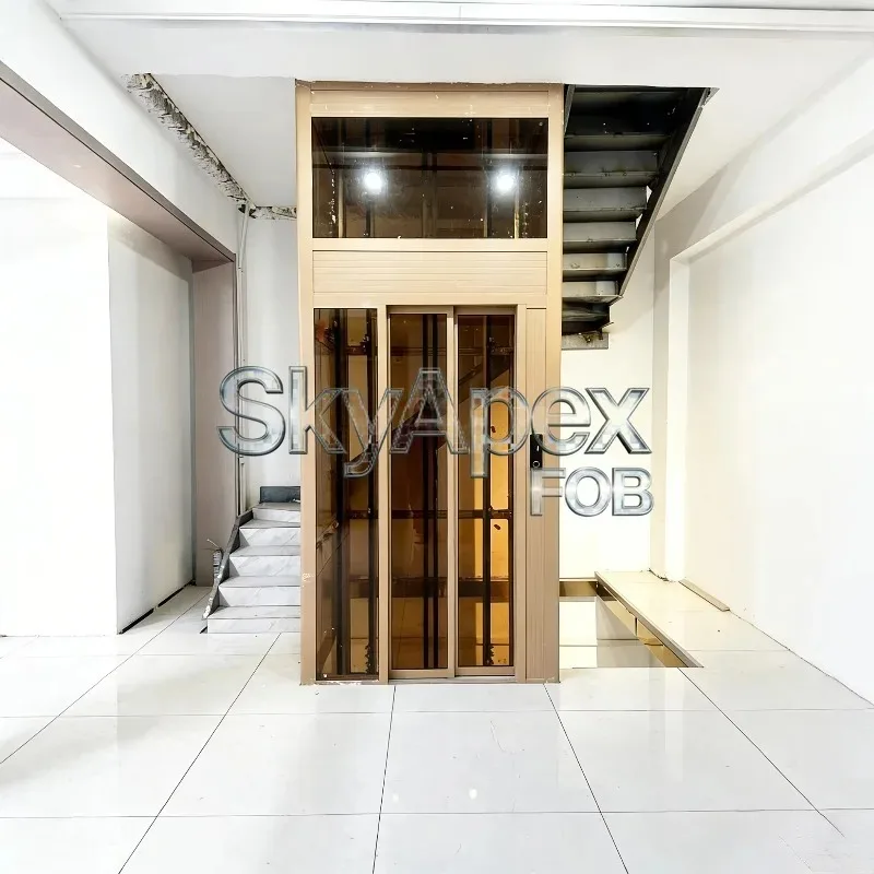 Ascensor Residencial Moderno sin Engranajes para Viviendas, Elevador de Pasajeros para Villas de Dos Pisos, Uso Familiar, Diseño Seguro con Certificación CE, FOB