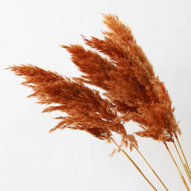 Artificial Pampas Dried Flower Boho Decorative Flowers Home Party Table Flower Arrangement Wedding Decor Fluffy Reed Grass