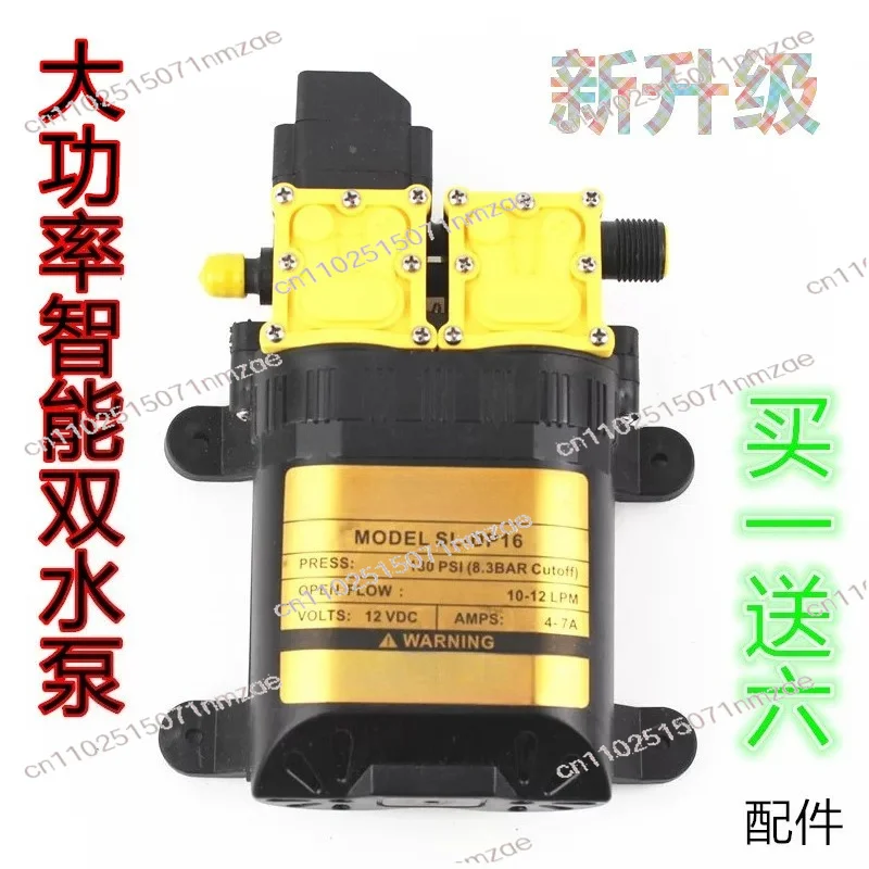 Agricultural Electric Double Pressure for Orchard 12V High Power Intelligent Sprayer Pump