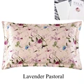 lavender pastoral