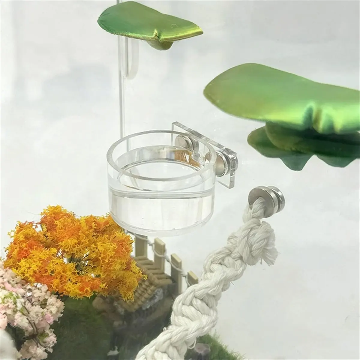 2026 New Jumping Spider Feeding Dish Water Food Dispenser Kit with Tongs Jumping Spider Terrarium Decor for Hermit Tiny Reptile