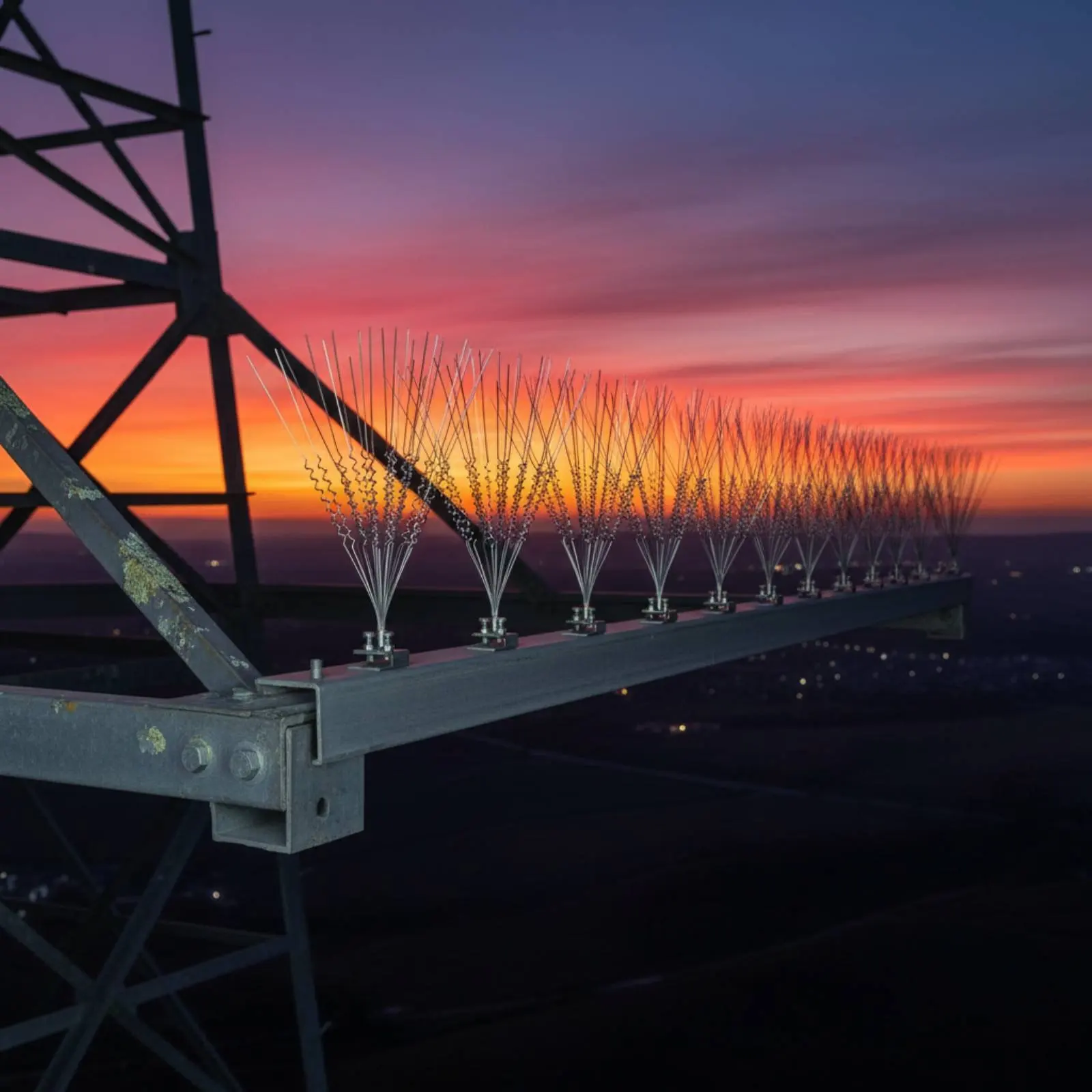 

Stainless Steel Avian Points Points Weatherproof Long-Lasting for Farmers, Orchards, Airports