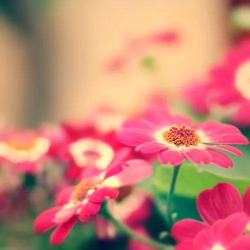 

25G Metal Gear Servo Upgrade Accessories for MN86K MN86KS MN86 MN86S MN Model G500 1/12 RC Car Upgrade Parts