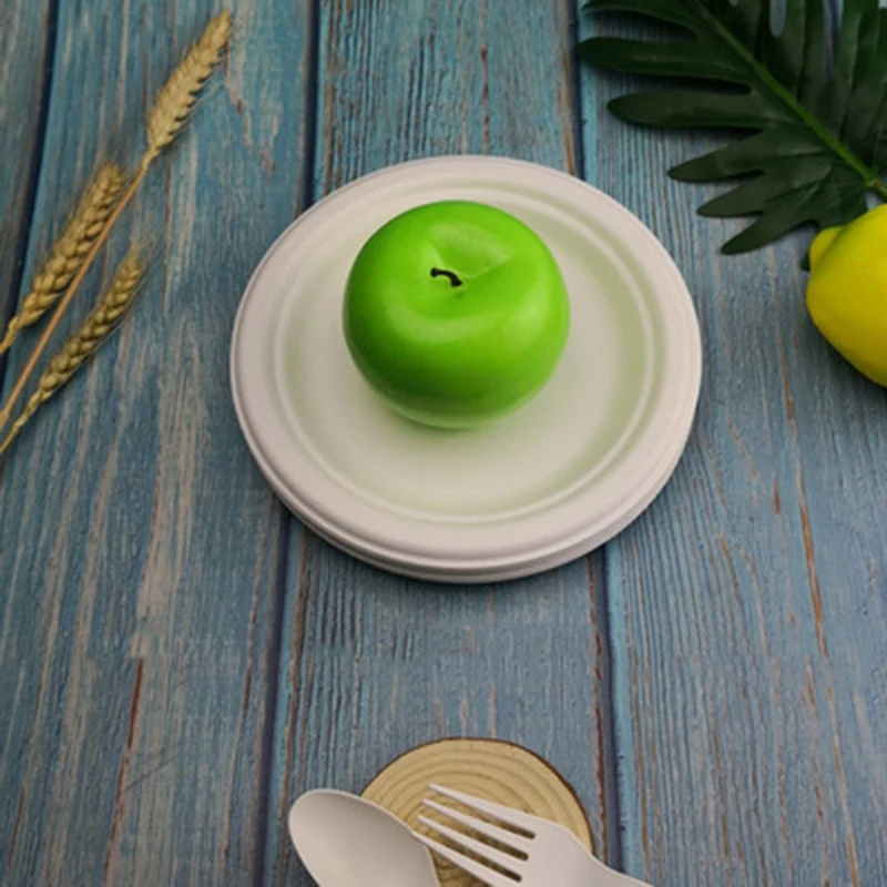 100% Compostable Disposable Paper Plates Bulk 9 Inch 50 Pack, Bamboo Plates, Eco Friendly, Biodegradable