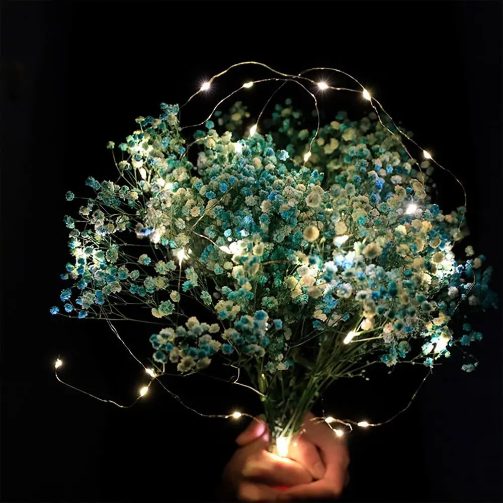 USB LED String Light Copper Silver Wire White Colorful Fairy Light 5V 1/2/3/5/10M Garland Light