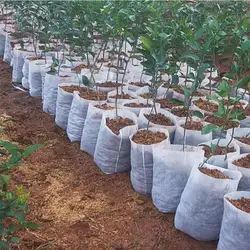 Grow Bag 100Pcs Nursery Plant Bags Plant Grow Bags Degradable Non-Woven Plant Nursery Bags For Flowers Fruits Saplings