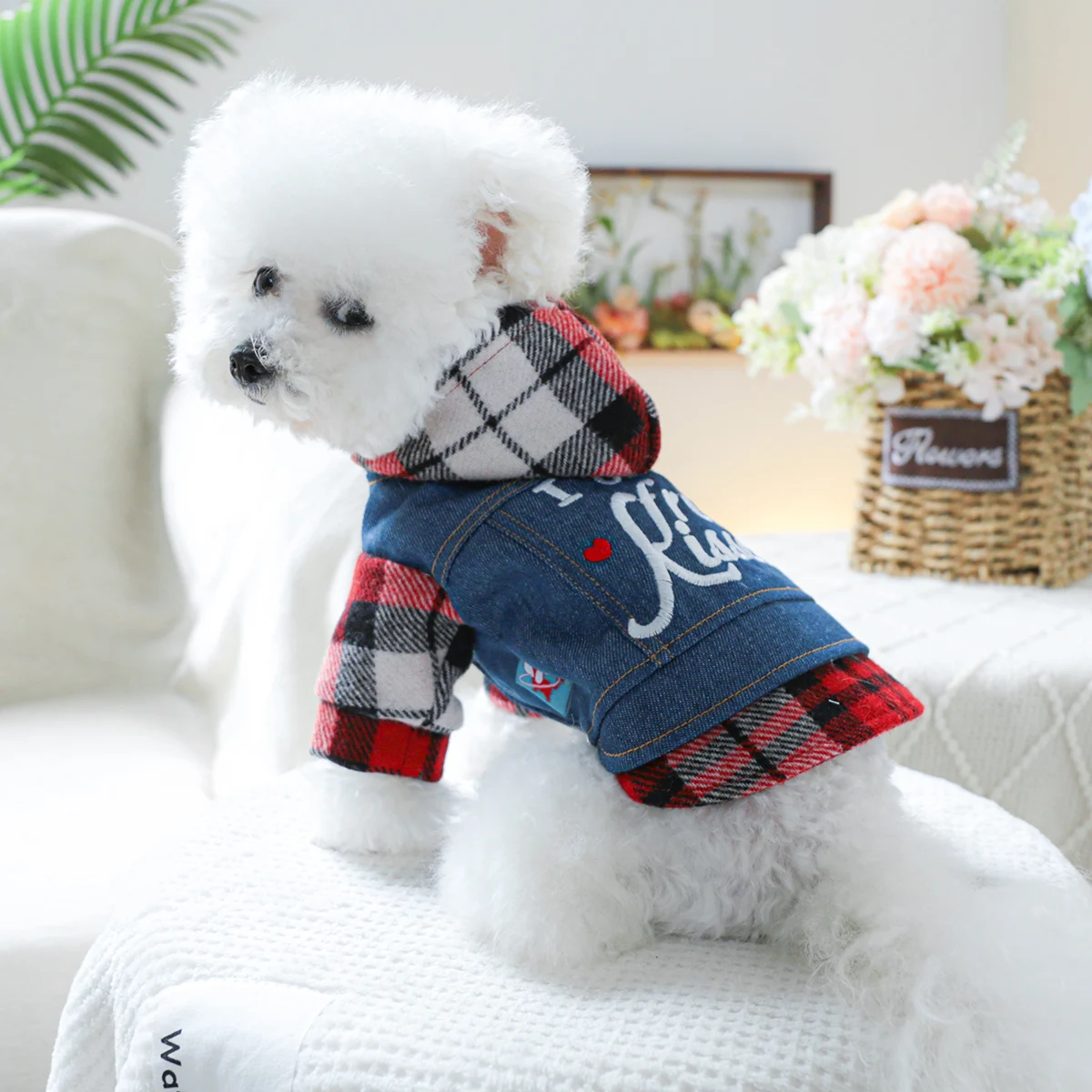 1PC pet clothing dog Spring and autumn kiss denim hat jacket suitable for small and medium -sized dogs