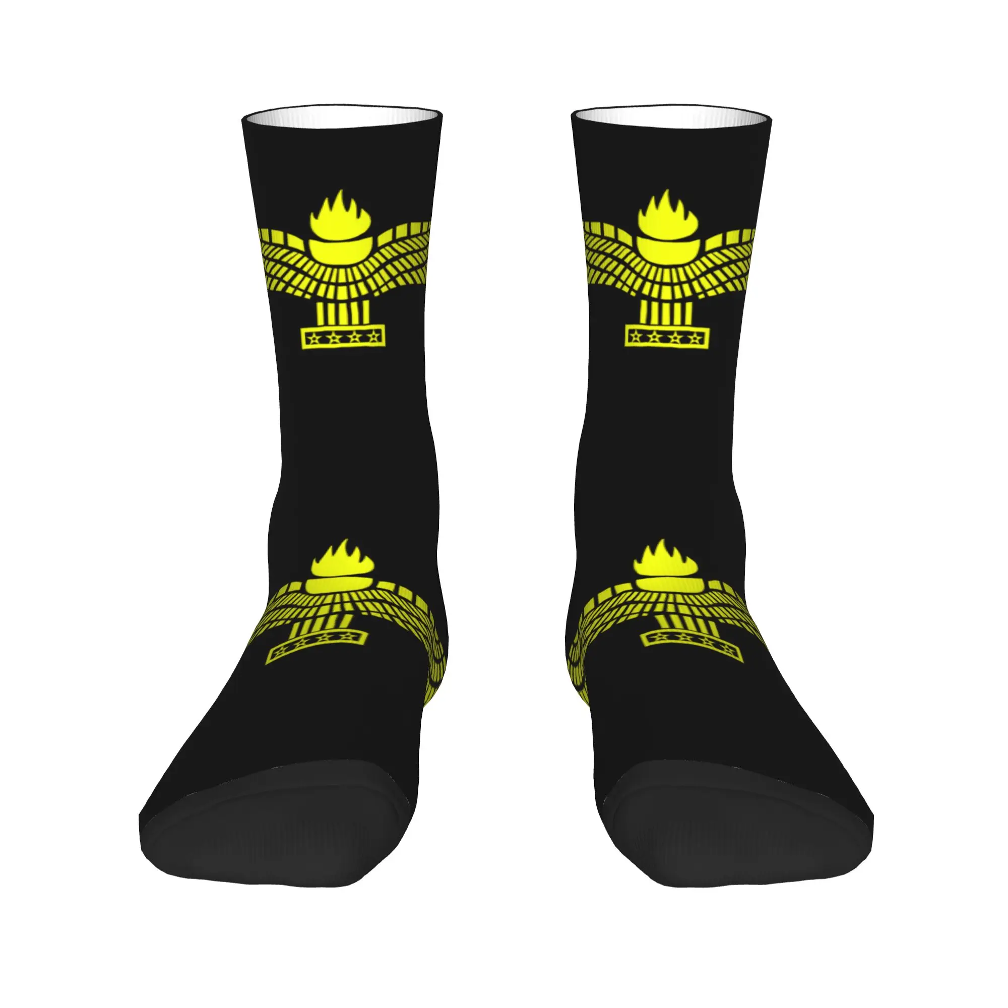

Cute Syria Assyrian Flag Logo Socks Women Men Warm 3D Printed Sports Basketball Socks