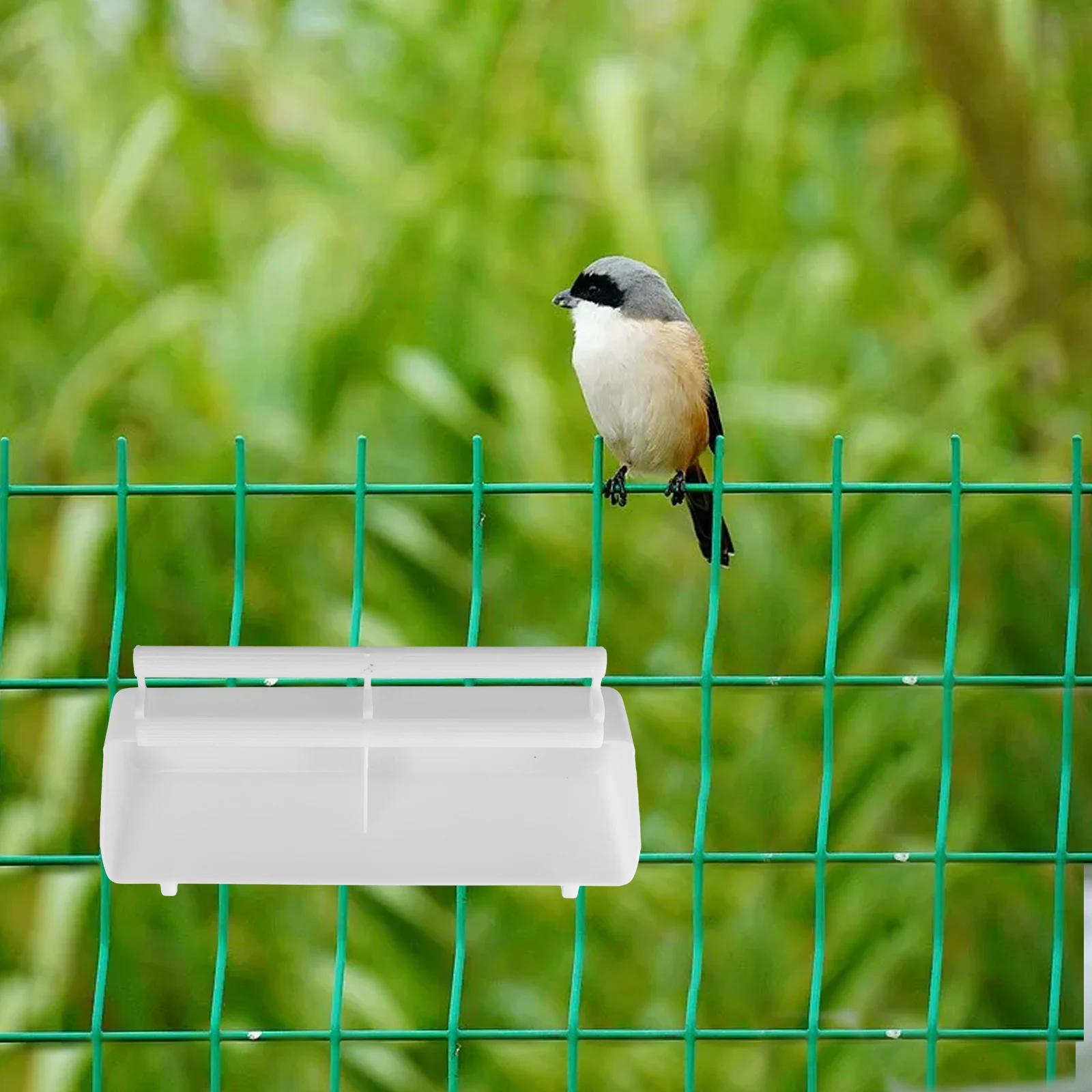 

Bird Cage Feeder Bird Food Box Large Capacity Long-term Use Prevents Food Spilling Promote Healthy Eating Bird Feeding