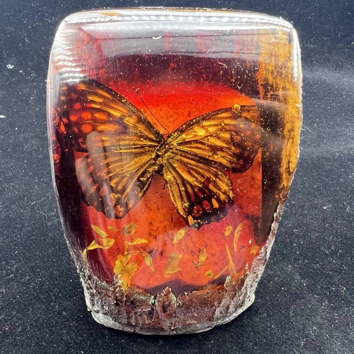 Amber beeswax rough stone insect specimen ornament rough stone insect scorpion handicraft butterfly office creative living room