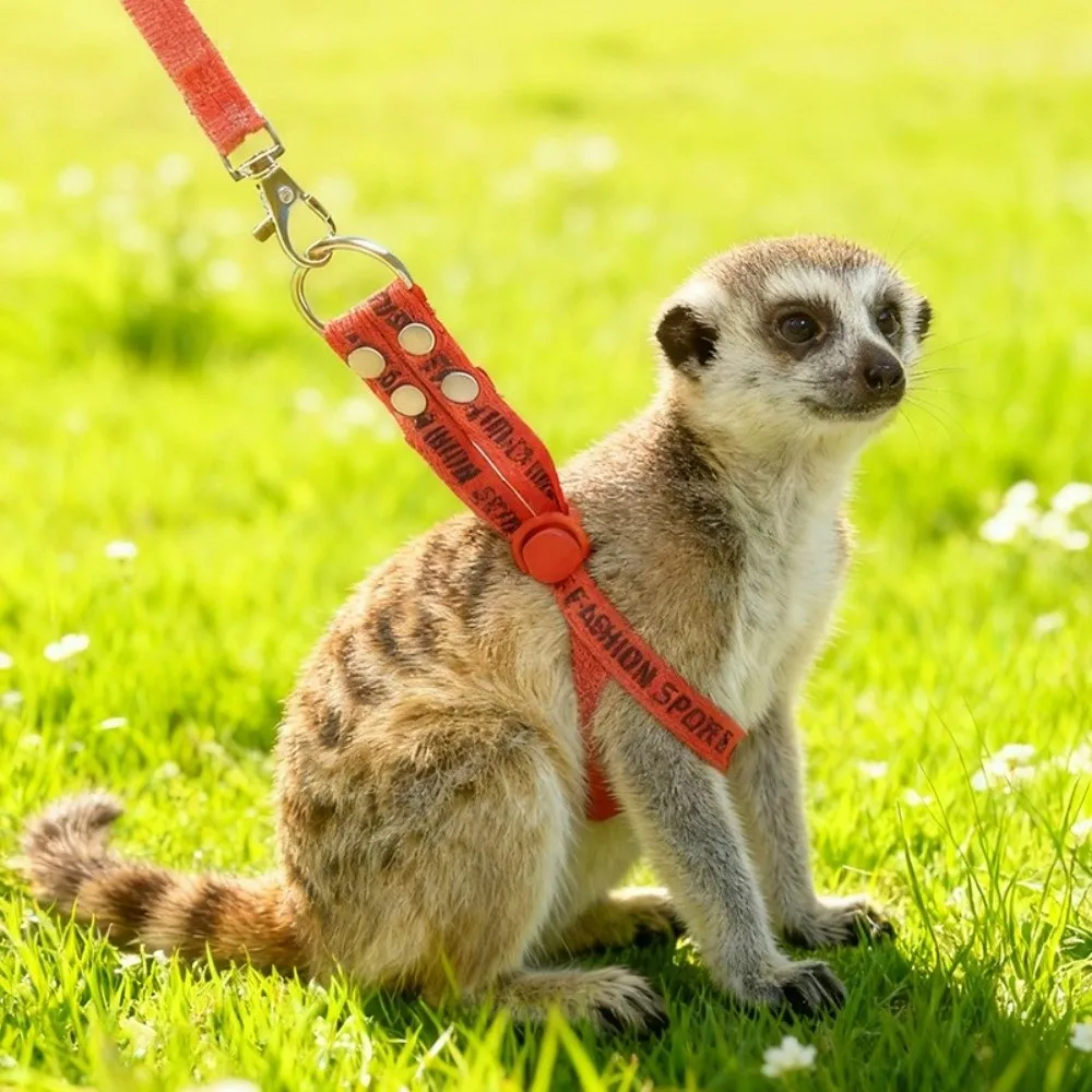 Practical Adjustable Rabbit Towing Rope Soft Comfortable Guinea Pig Harness Escape Proof Ferret Anti Loss Rope Pet Running