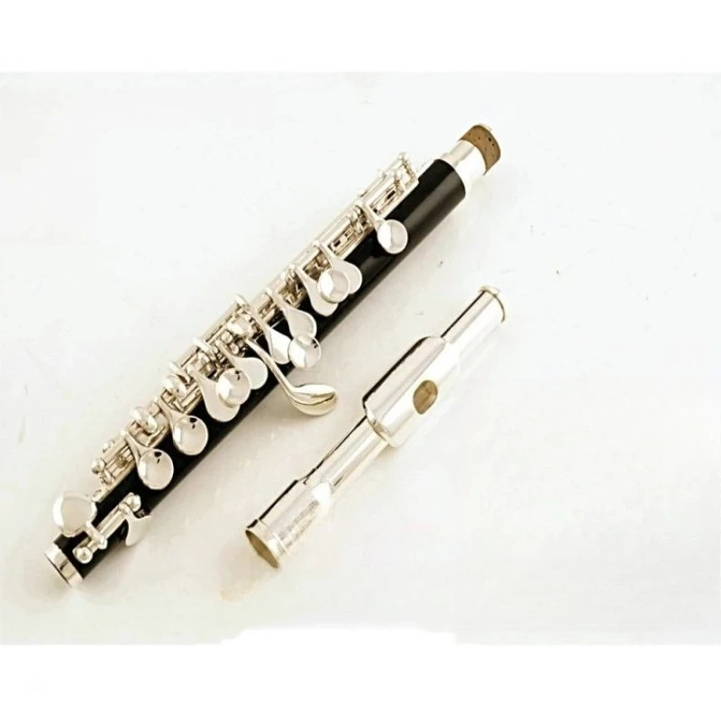 

E100 Piccolo JYPC-E100s