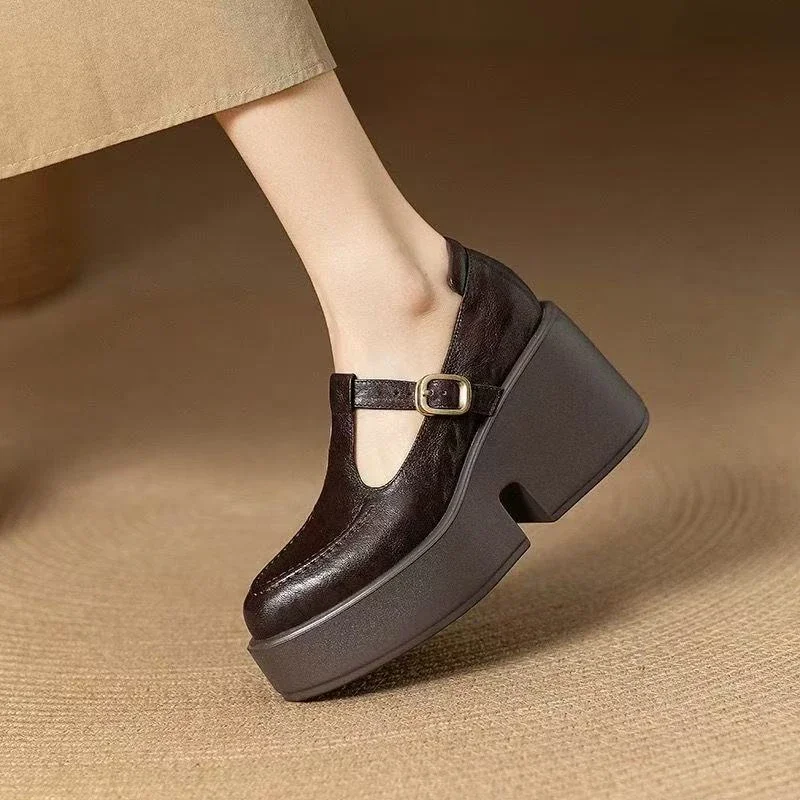 Chunky Platform High Heels Pumps Women Spring PU Leather Ankle Buckle Mary Jane Shoes Woman Brown Thick Heeled Sandals Loafers